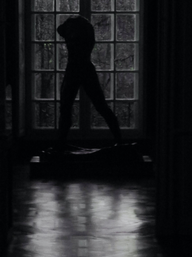 A-L'HOMME QUI MARCHE  .jpg
